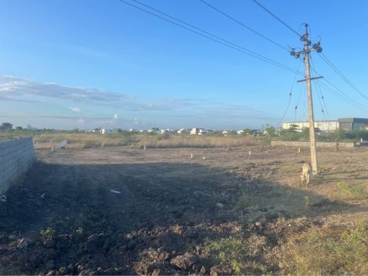 Land sale