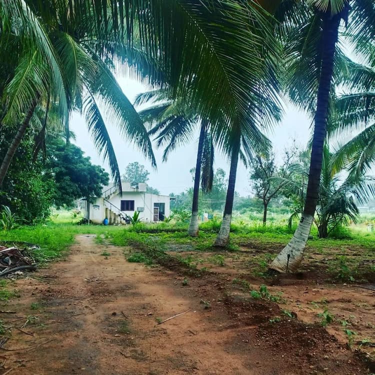 Single Property Image