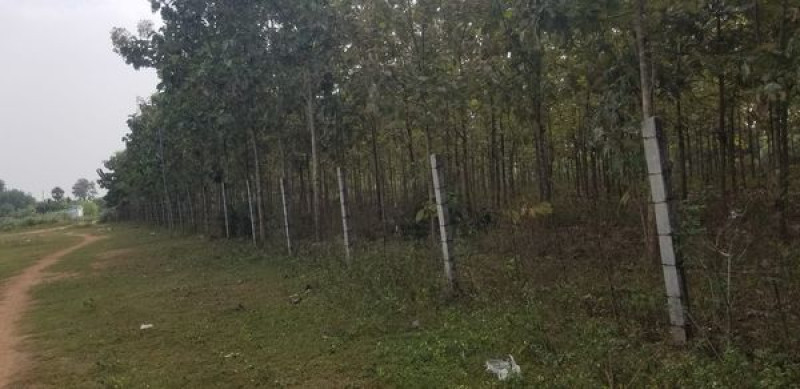 Land sale