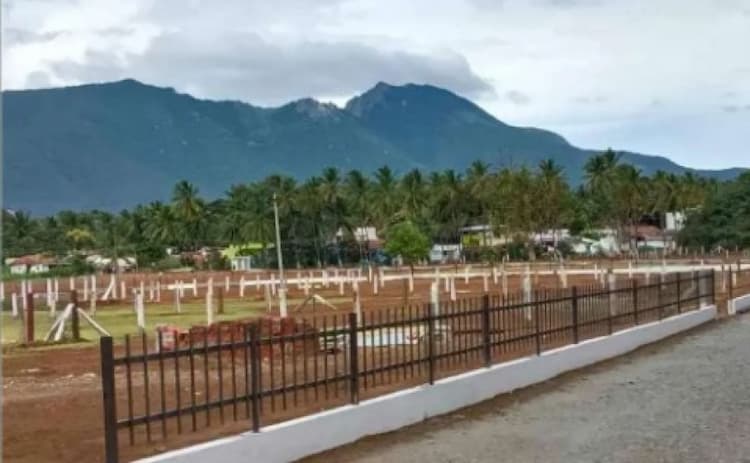 Single Property Image