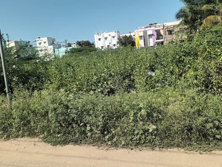 DTCP Approved land for sale 