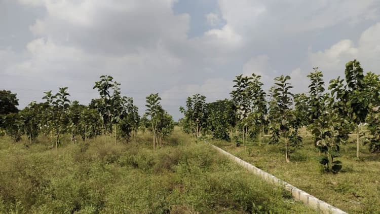 Single Property Image