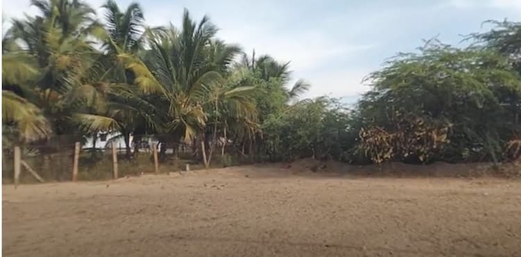 Land for sales