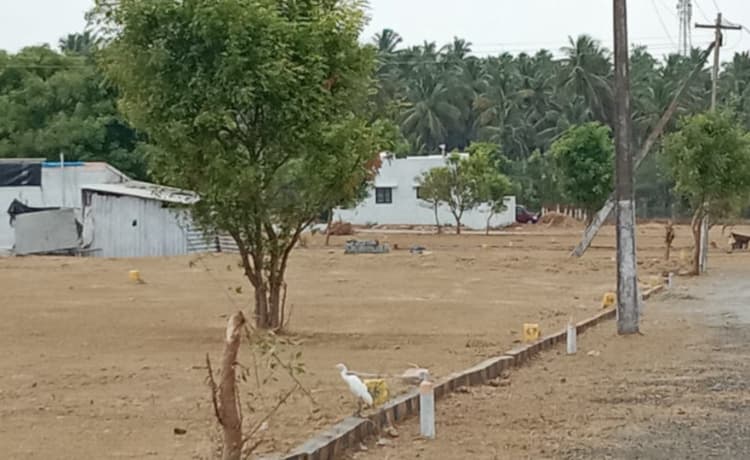 Single Property Image