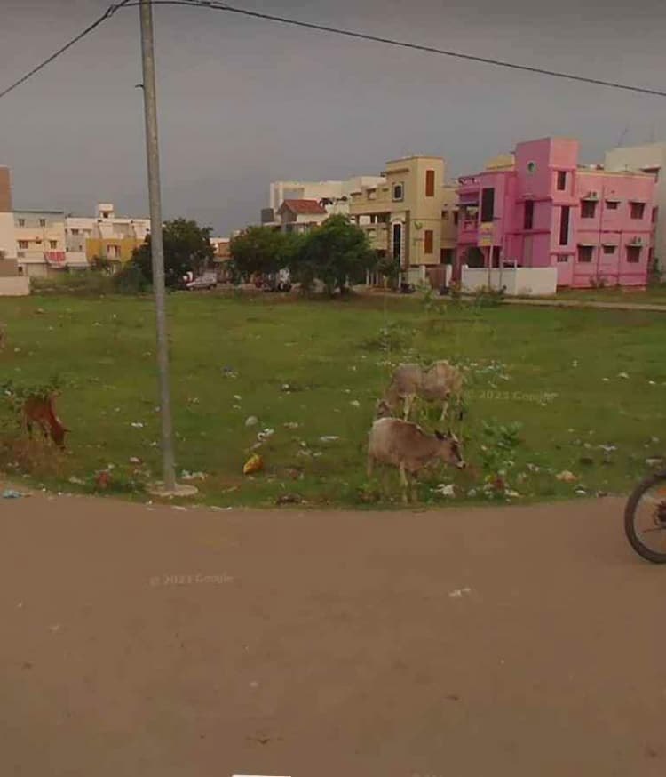 Single Property Image