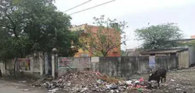 Land for sales