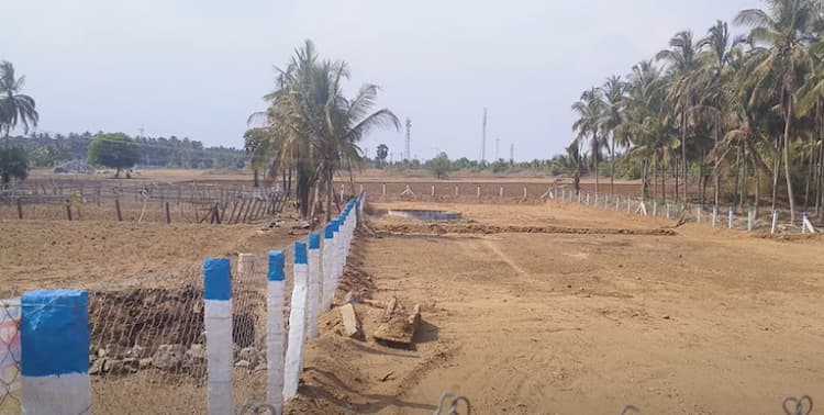 Land for Sale