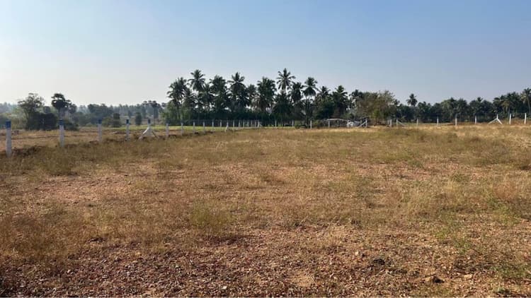 Land for sales