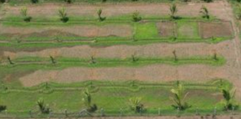 Land for sales