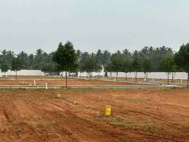 Land for sales