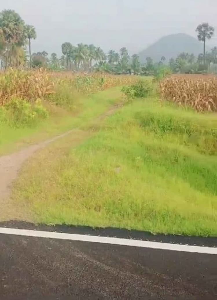 Single Property Image