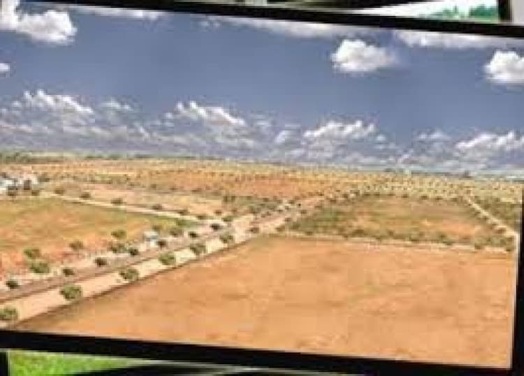 Plot sale
