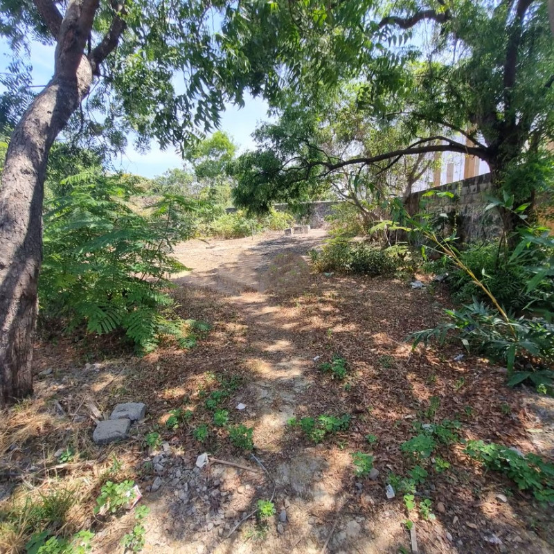 site for sale