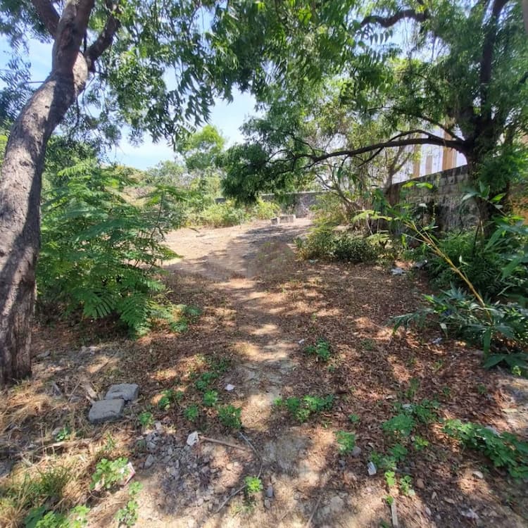 site for sale