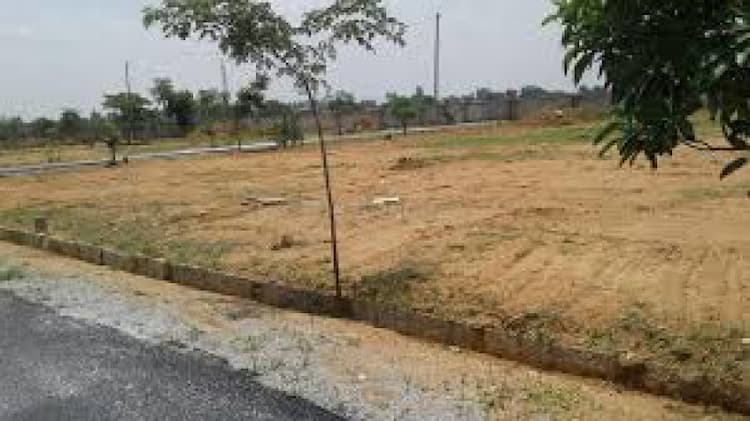 Plot for sale