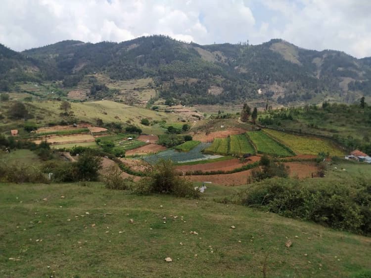 Single Property Image