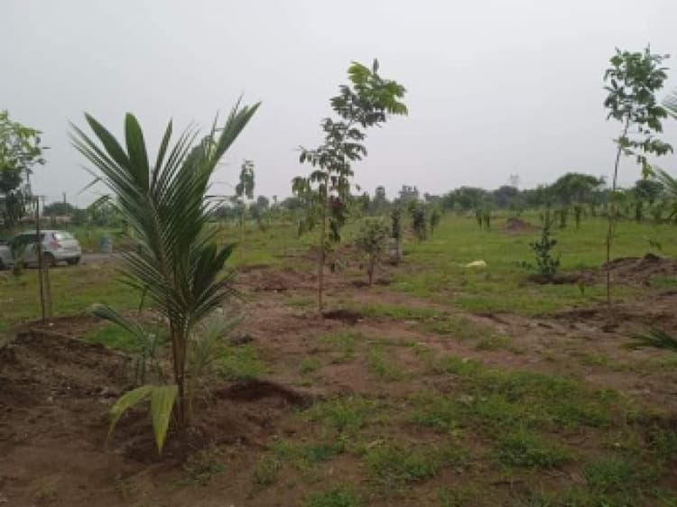 land sale