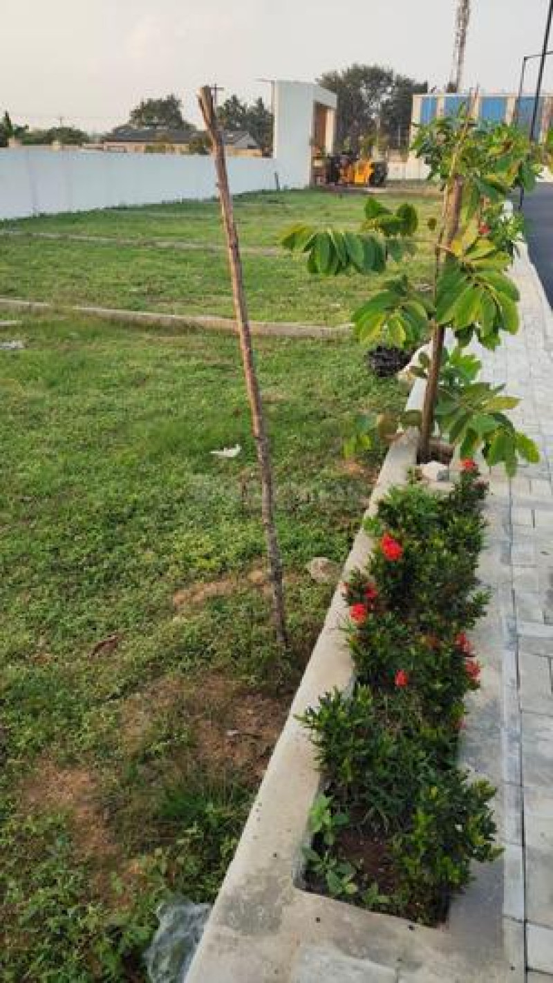 Residential Plot