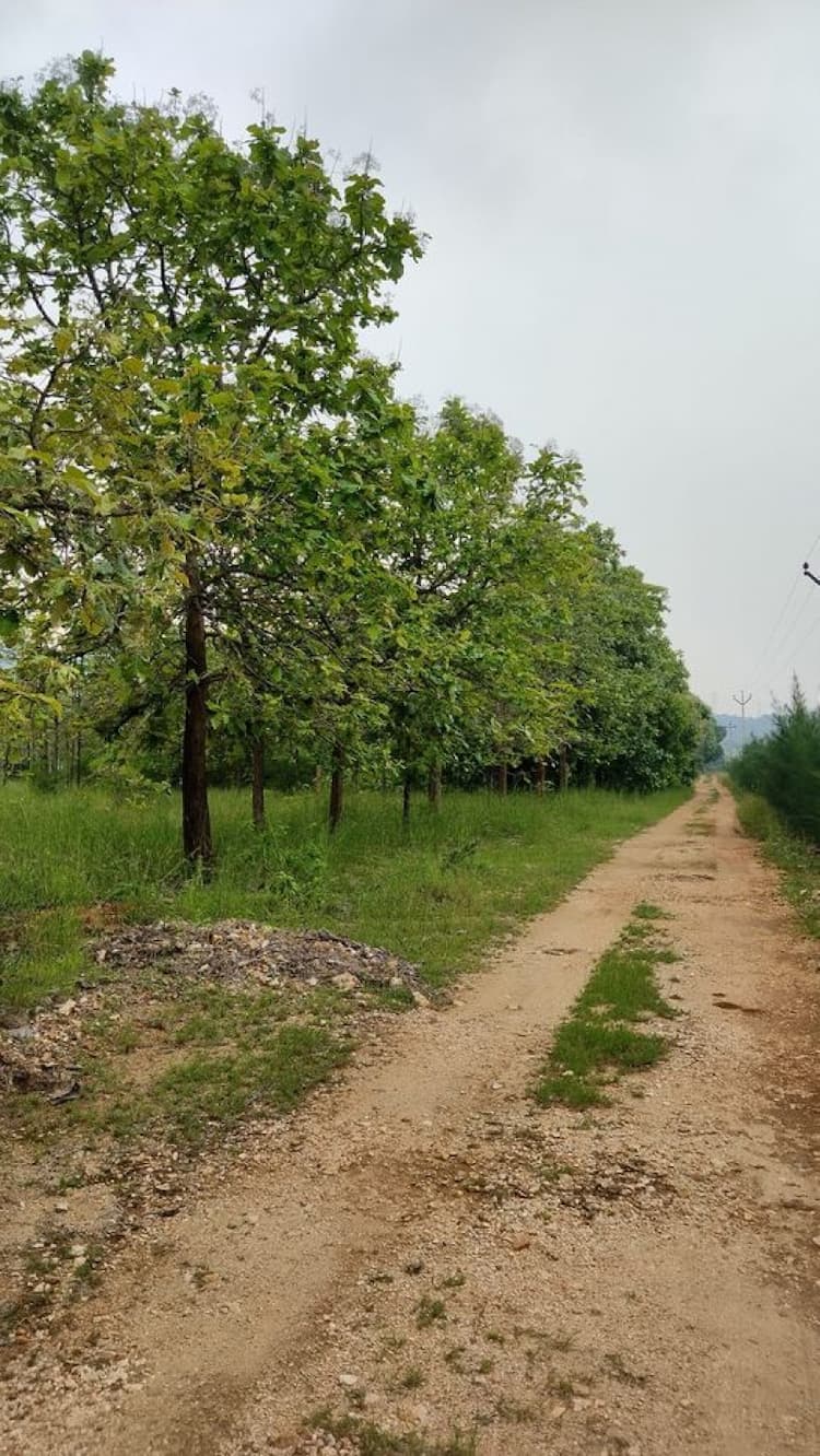 farm land for sale