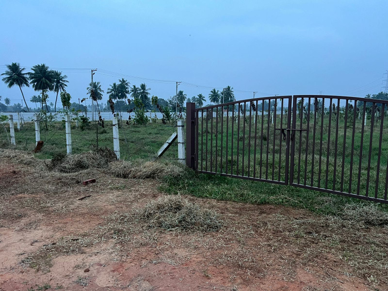 Agricultural Land for sale