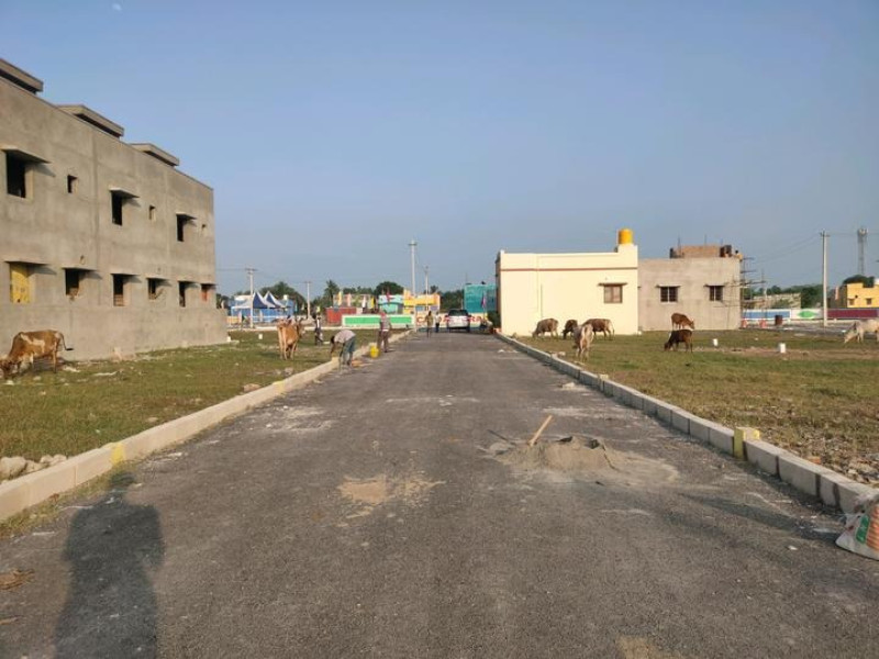 Residential Plot