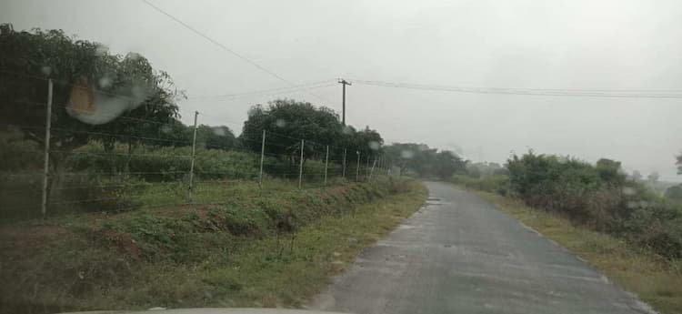 Agricultural Land