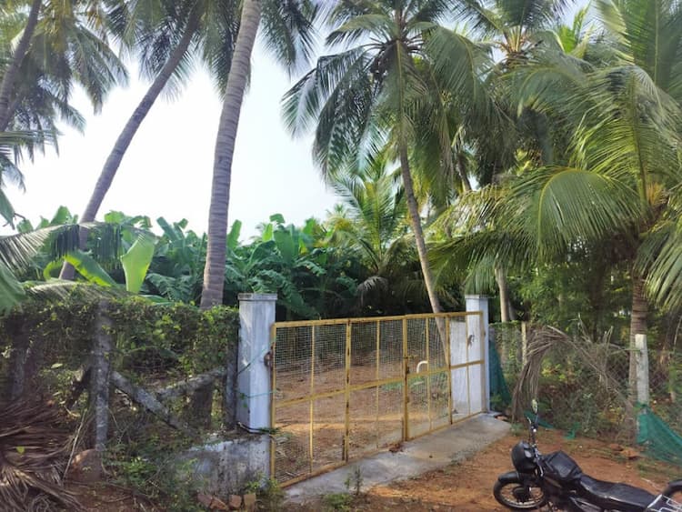 Land for sales