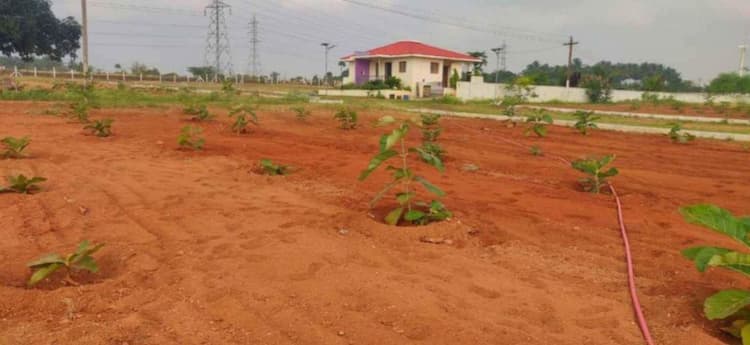 Tekkumara farmland for sale