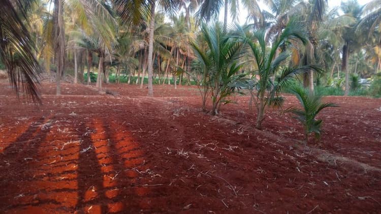 Land for sales