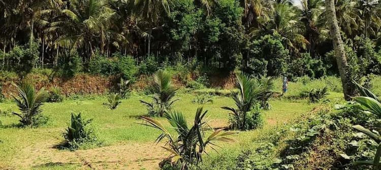 Single Property Image