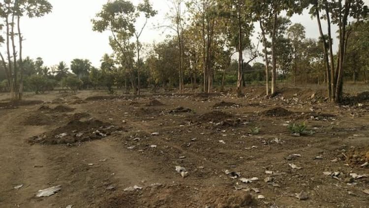 Agri Land For Sale