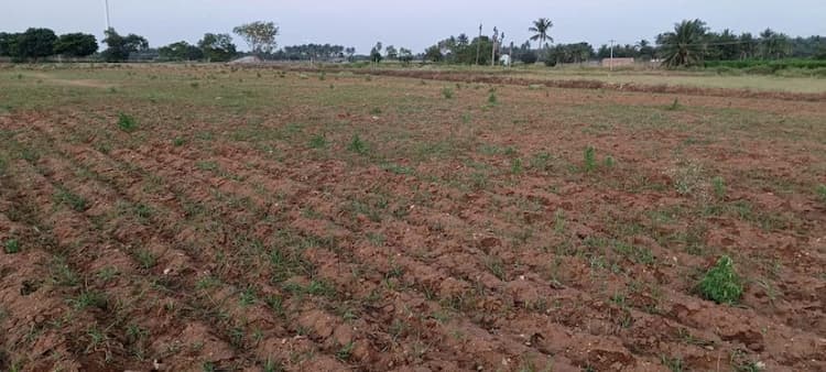 2 Acre Land for Sale