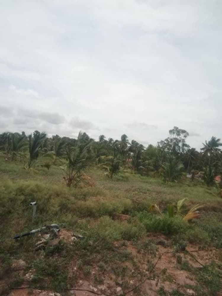 Land for Sale