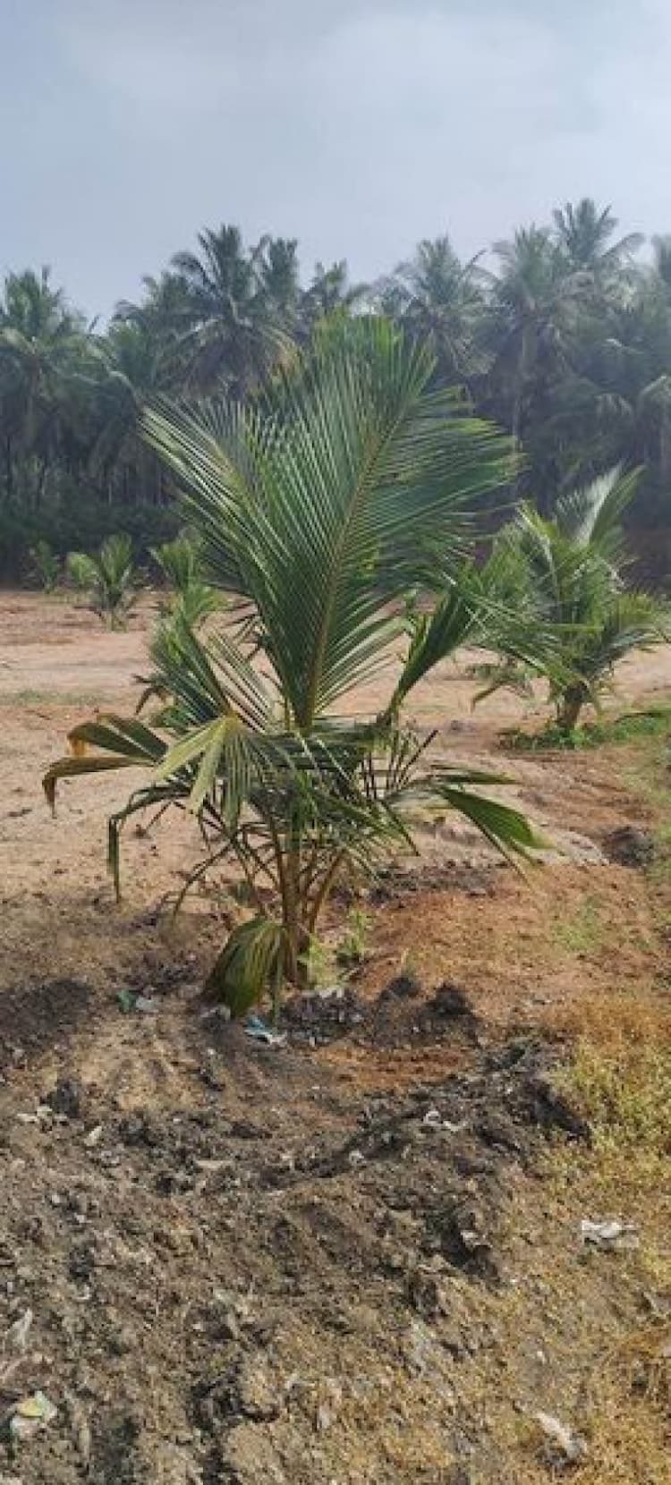 1.18 acre land for sale