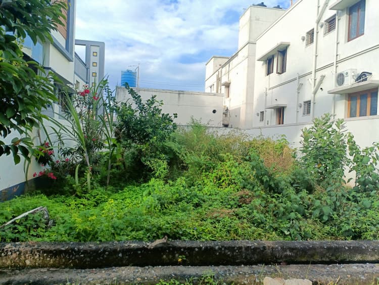 Plot For Sale