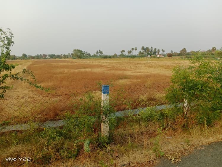 Land for sales