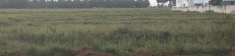 Land for sales
