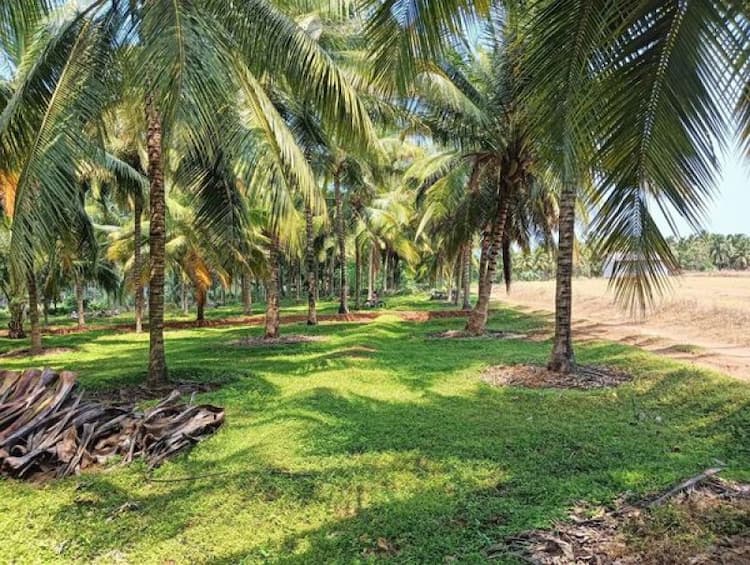 Single Property Image