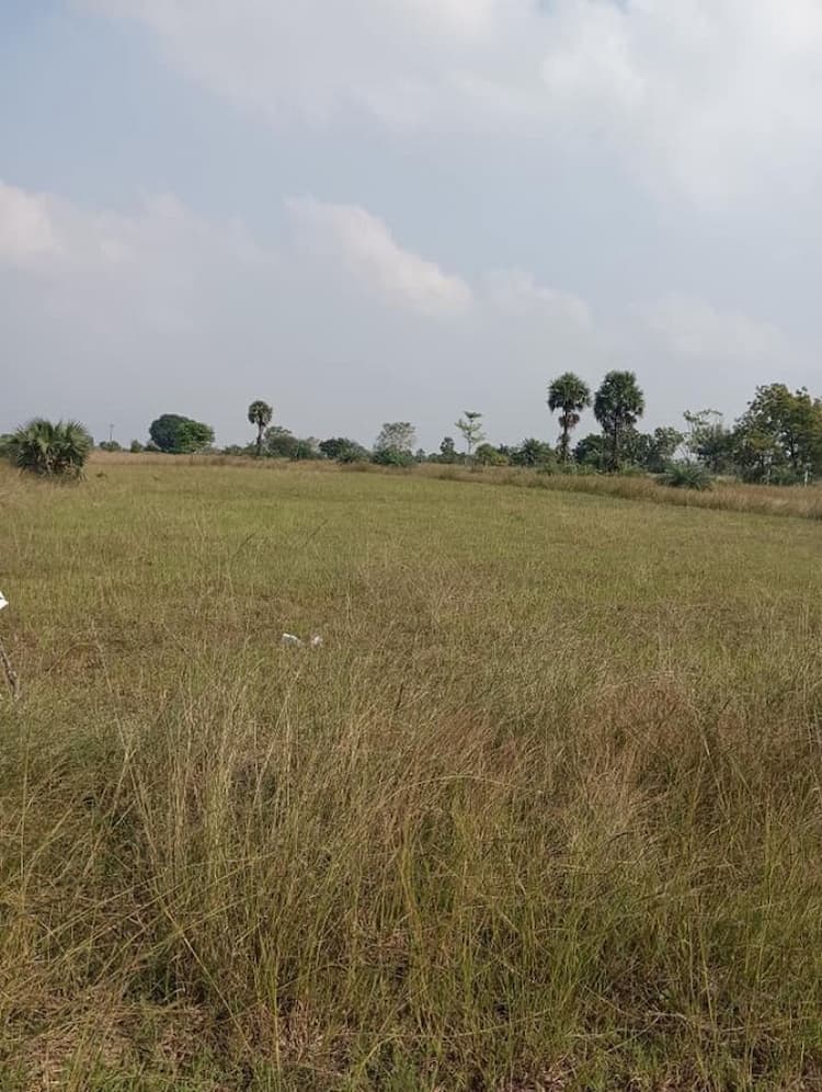 Land for Sale in Ocheri