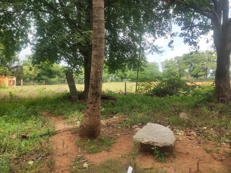 Agricultural Land