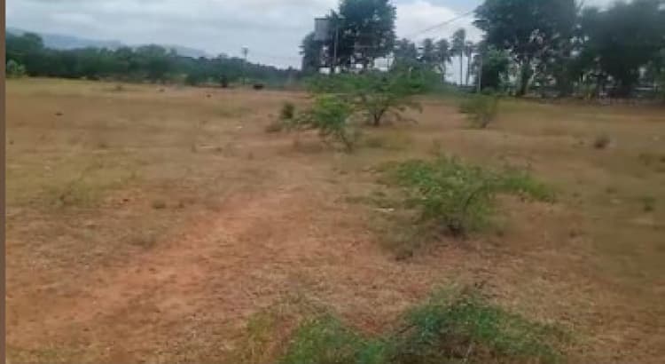 Single Property Image