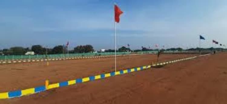 Plot sale