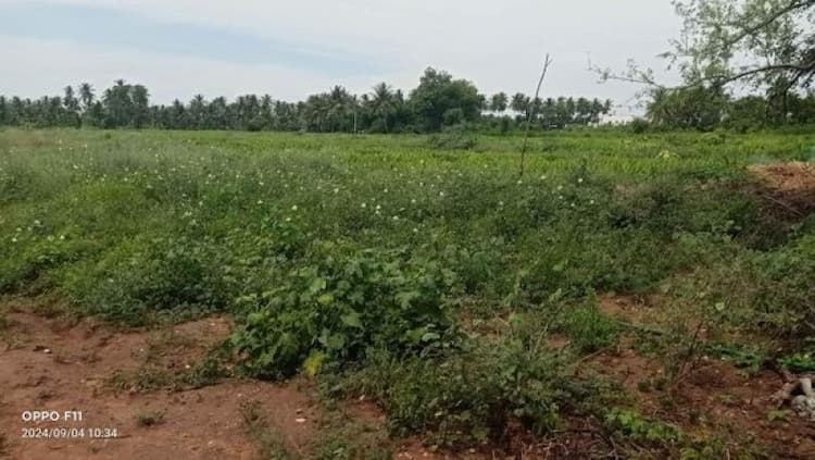 Land for sales