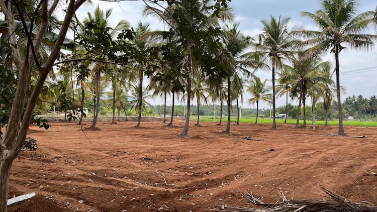 Agricultural Land