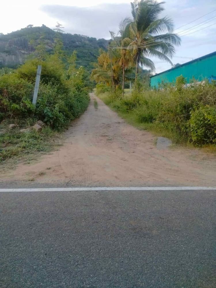 Single Property Image