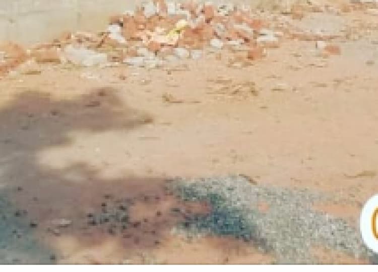 Land for sales