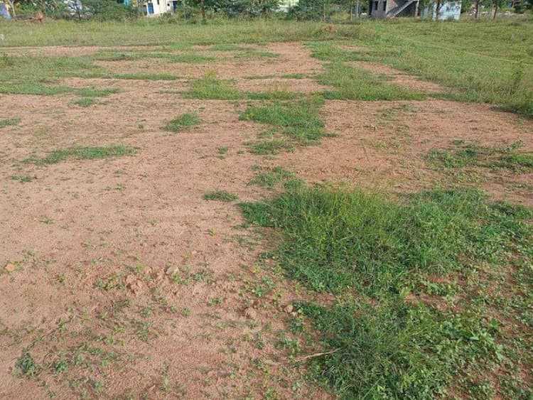 Plot sale