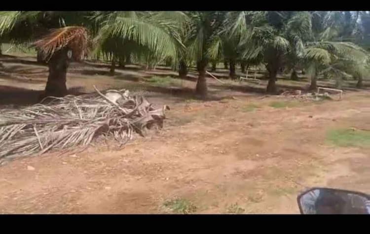 farm land for sale