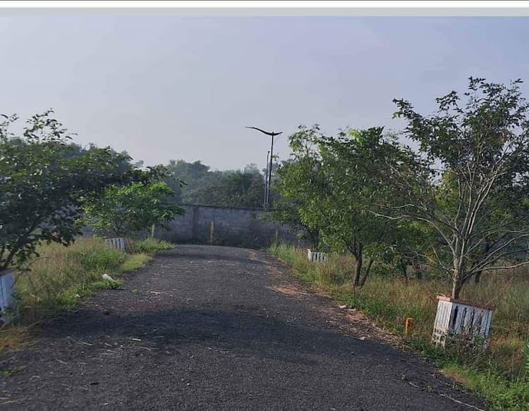 Single Property Image