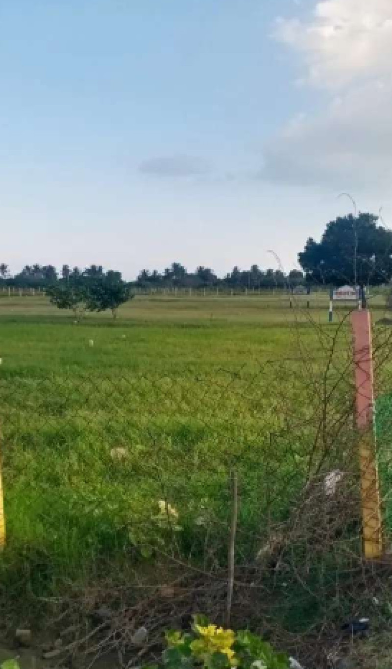 Land for sales